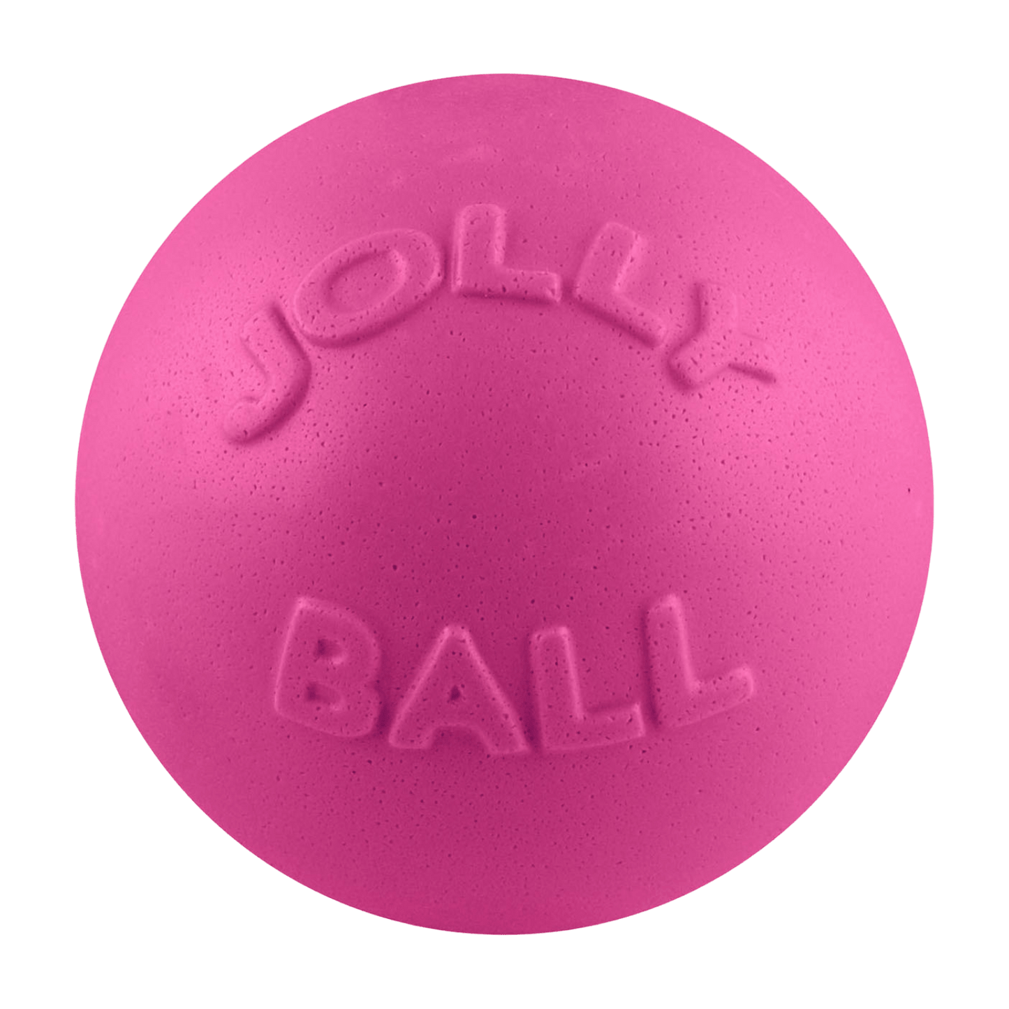 Bounce-n-Play Dog Toy