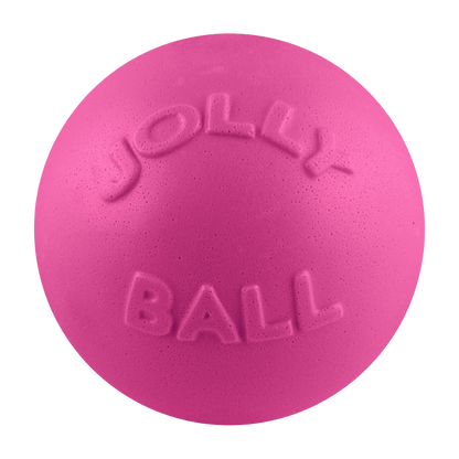 Bounce-n-Play Dog Toy