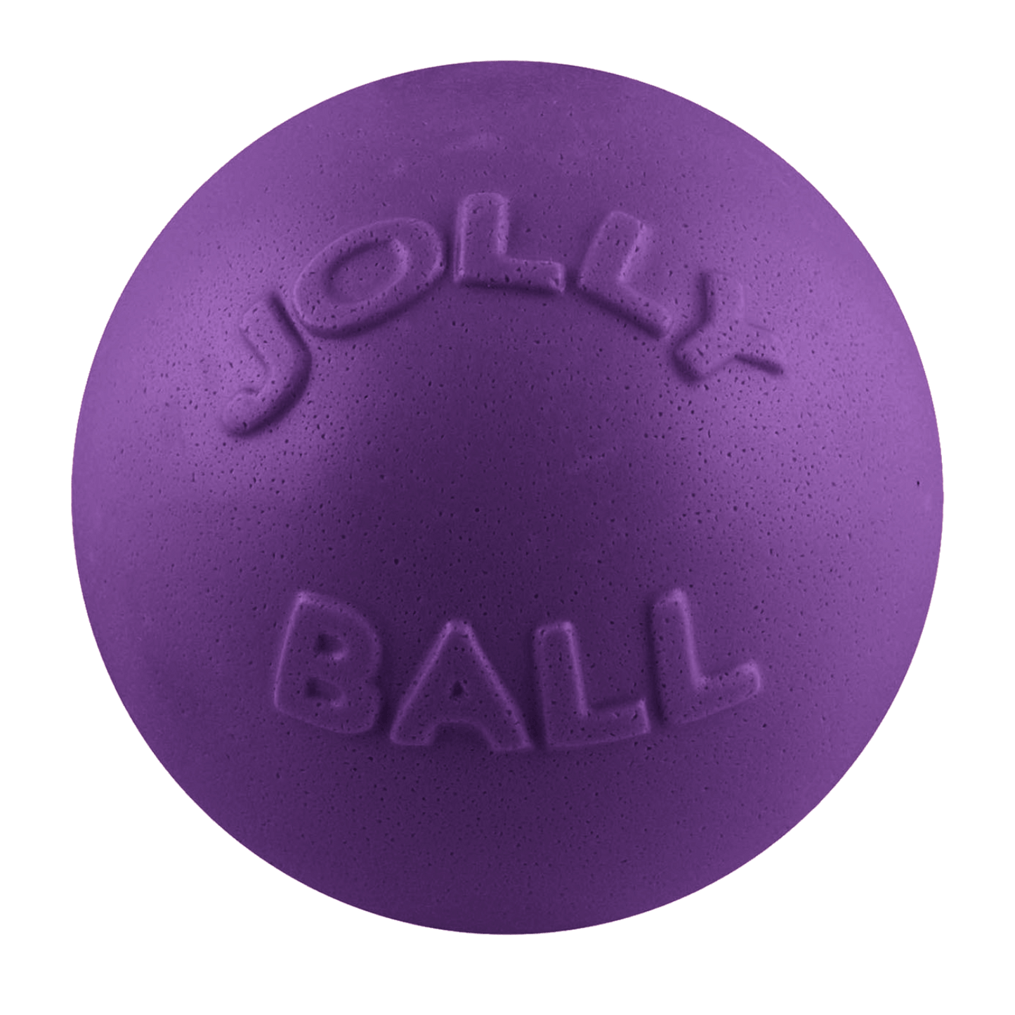 Bounce-n-Play Dog Toy