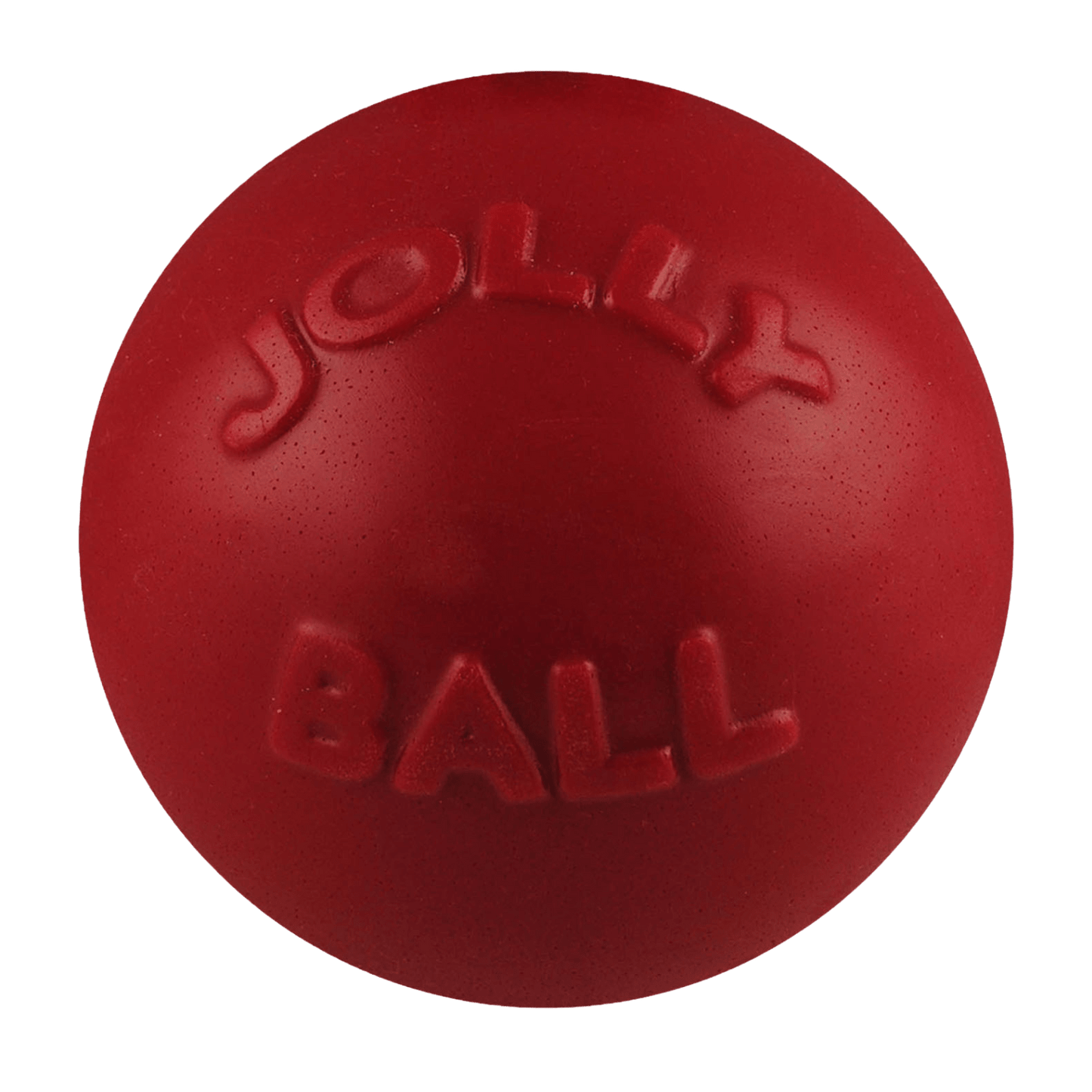 Bounce-n-Play Dog Toy