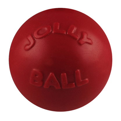 Bounce-n-Play Dog Toy