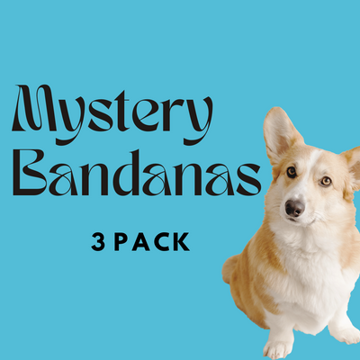 Mystery Dog Bandanas - 3 Pack Bundle