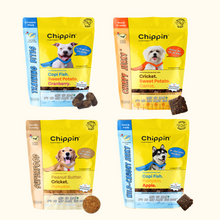 Fish & Cricket Best Seller Bundle