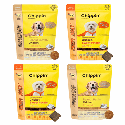 Gut Healthy Dog Treat Variety Bundle