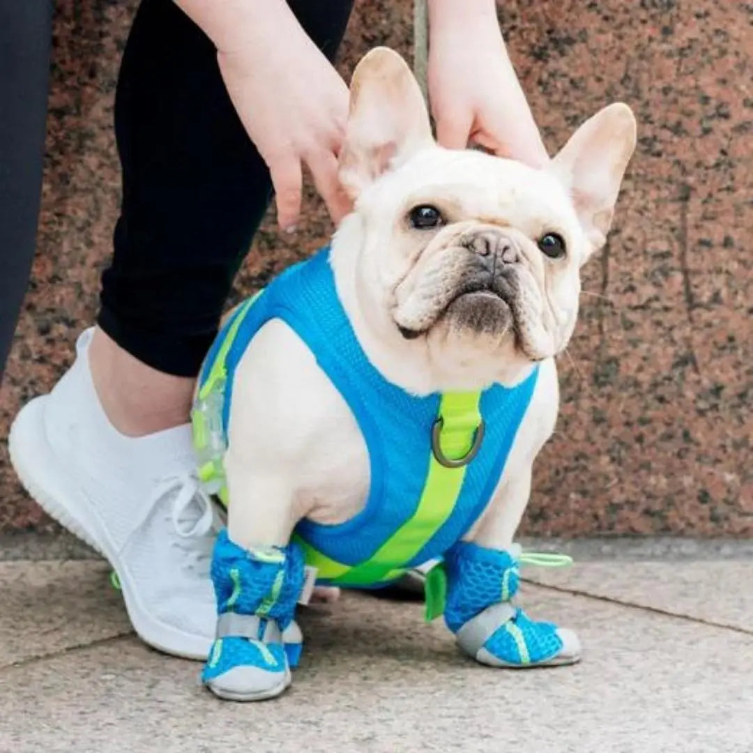 Canada Pooch Dog Cooling Harness Blue 20 Canada Pooch