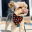 Candy Corn Halloween Dog Bandana, Medium Hunter K9