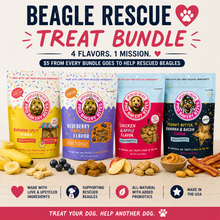 Beagle Rescue 4 Pack Dog Treat Bundle