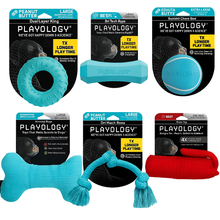 Playology Toy of the Month Club (For Dogs 35 lbs+)
