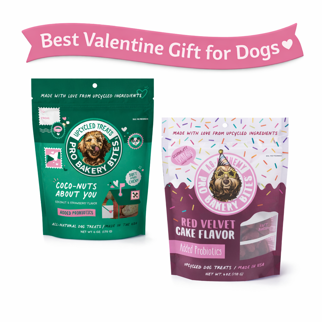 Valentine’s Day Dog Treat Bundle of 2