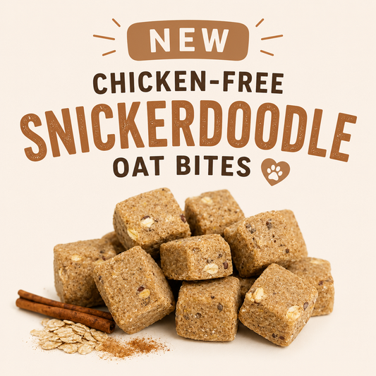 All-Natural Snickerdoodle Oat Bites for Dogs | Chicken-Free Treats 12oz