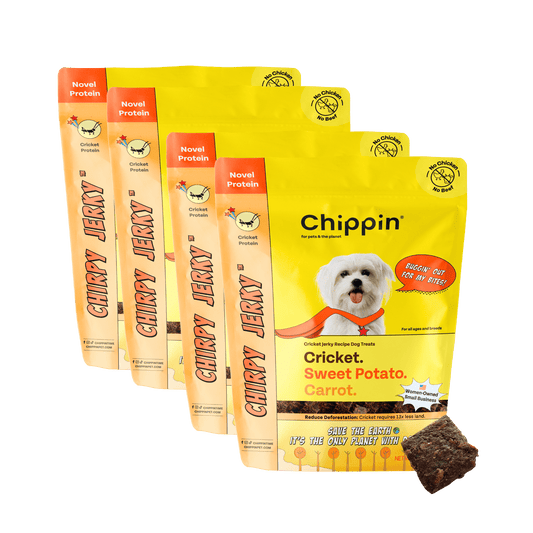 Cricket & Sweet Potato Jerky Dog Treats, 4-Pack