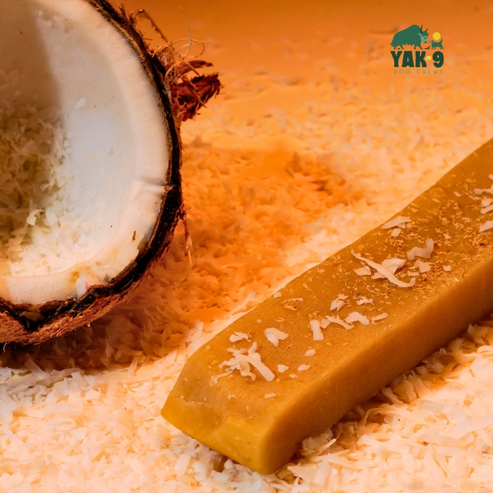 Coconut Cheese Chews for Dogs