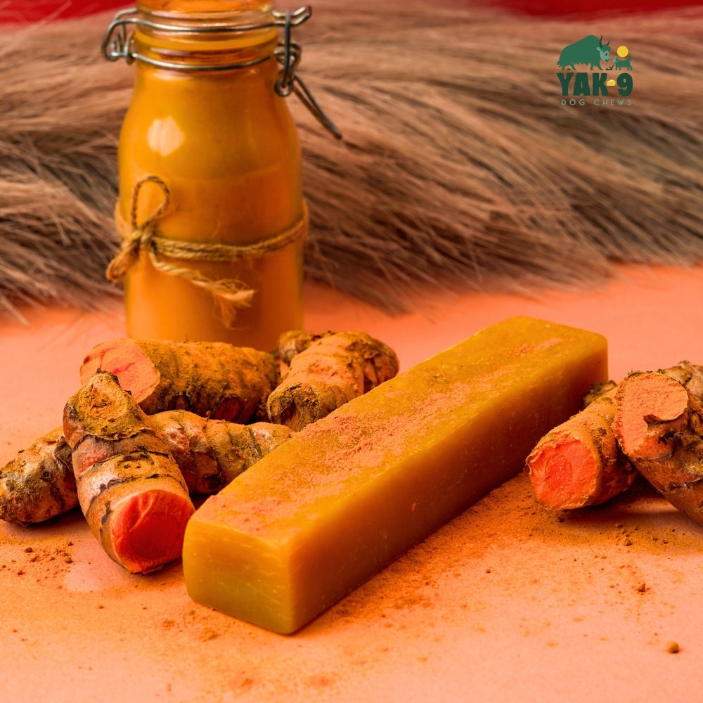 Turmeric Cheese Chews for Dogs