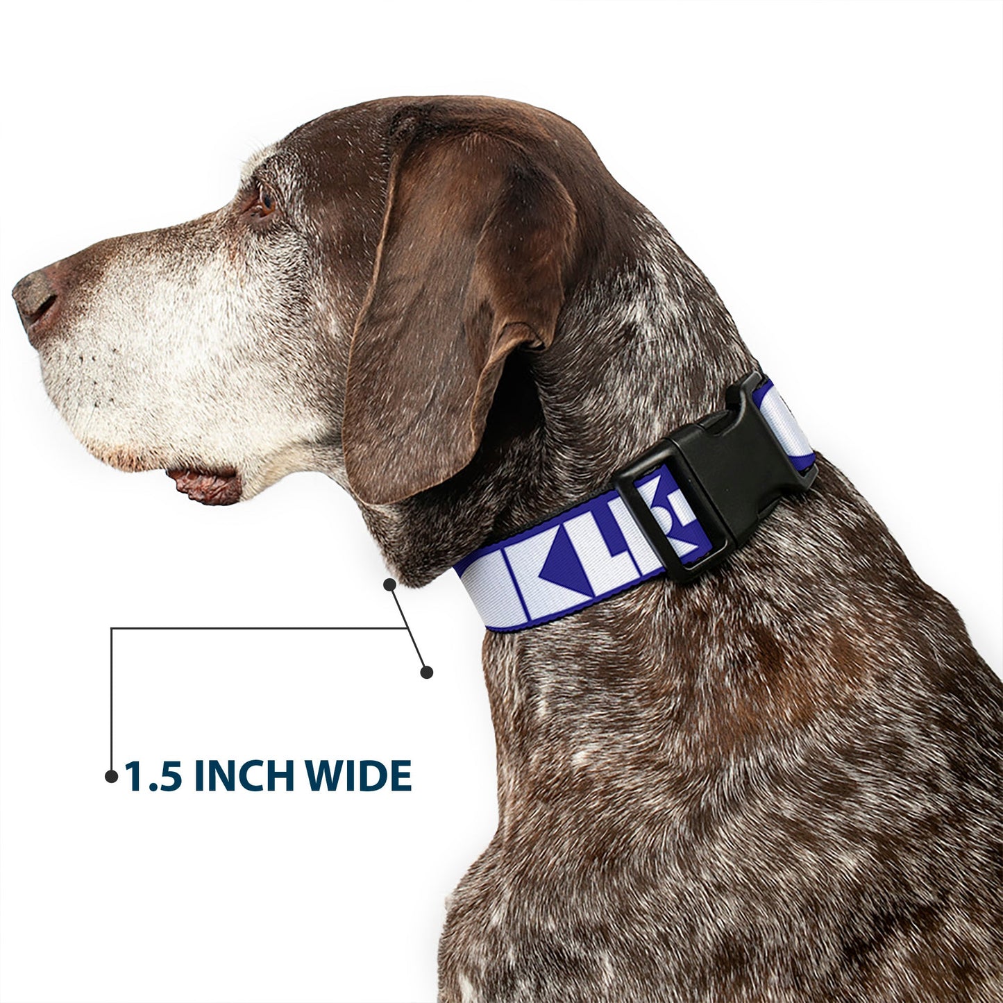 Plastic Clip Collar - BUCKLE-DOWN Shapes Blue/White