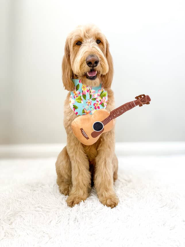 Guitar Squeaky Dog Toy – Plush Crinkle Dog Toy for Medium & Large Dogs, Durable Musical Dog Toy for Tug, Fetch & Birthday Gifts