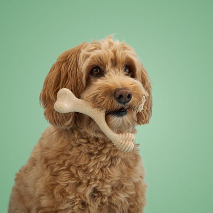BetterBone Moderate Dog Chew Toy from eco-friendly natural dog toy collection, designed for moderate chewers.