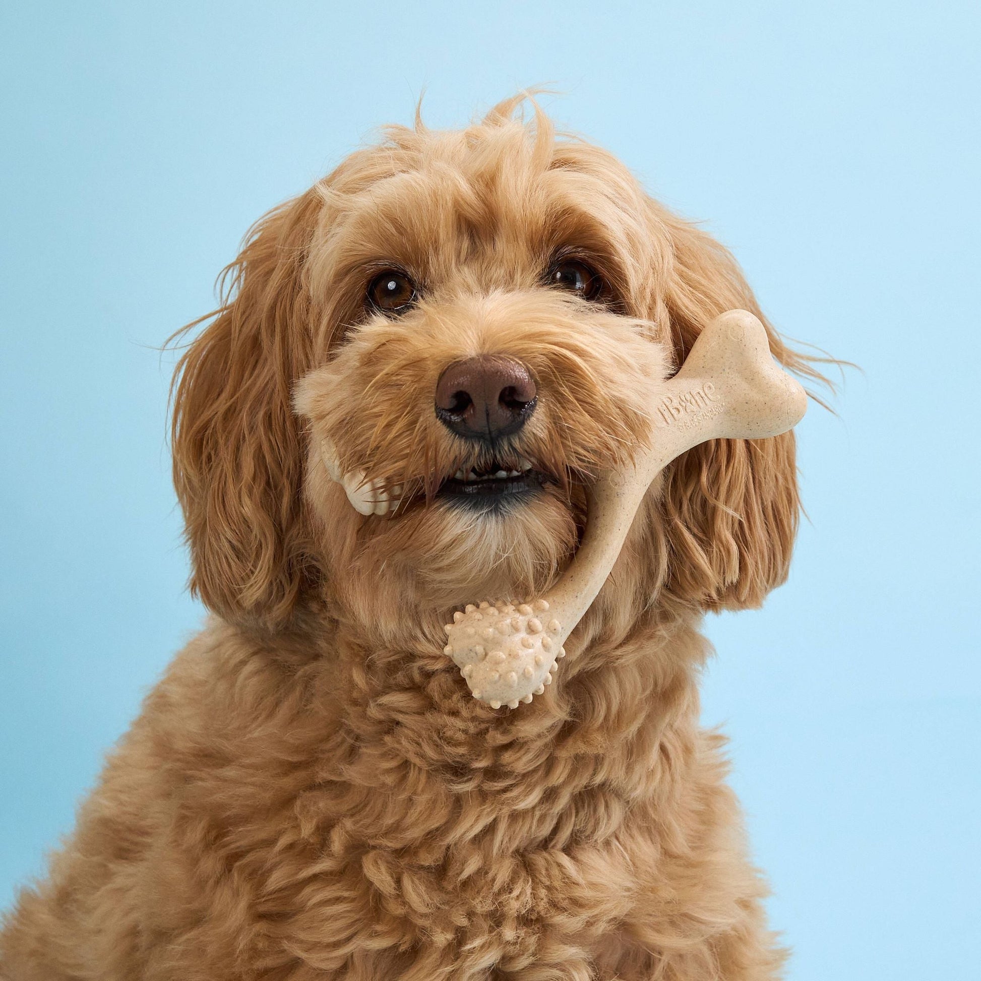 BetterBone LIGHT chew toy for dogs, eco-friendly dog toy made from natural materials, shown in close-up on a clean background.