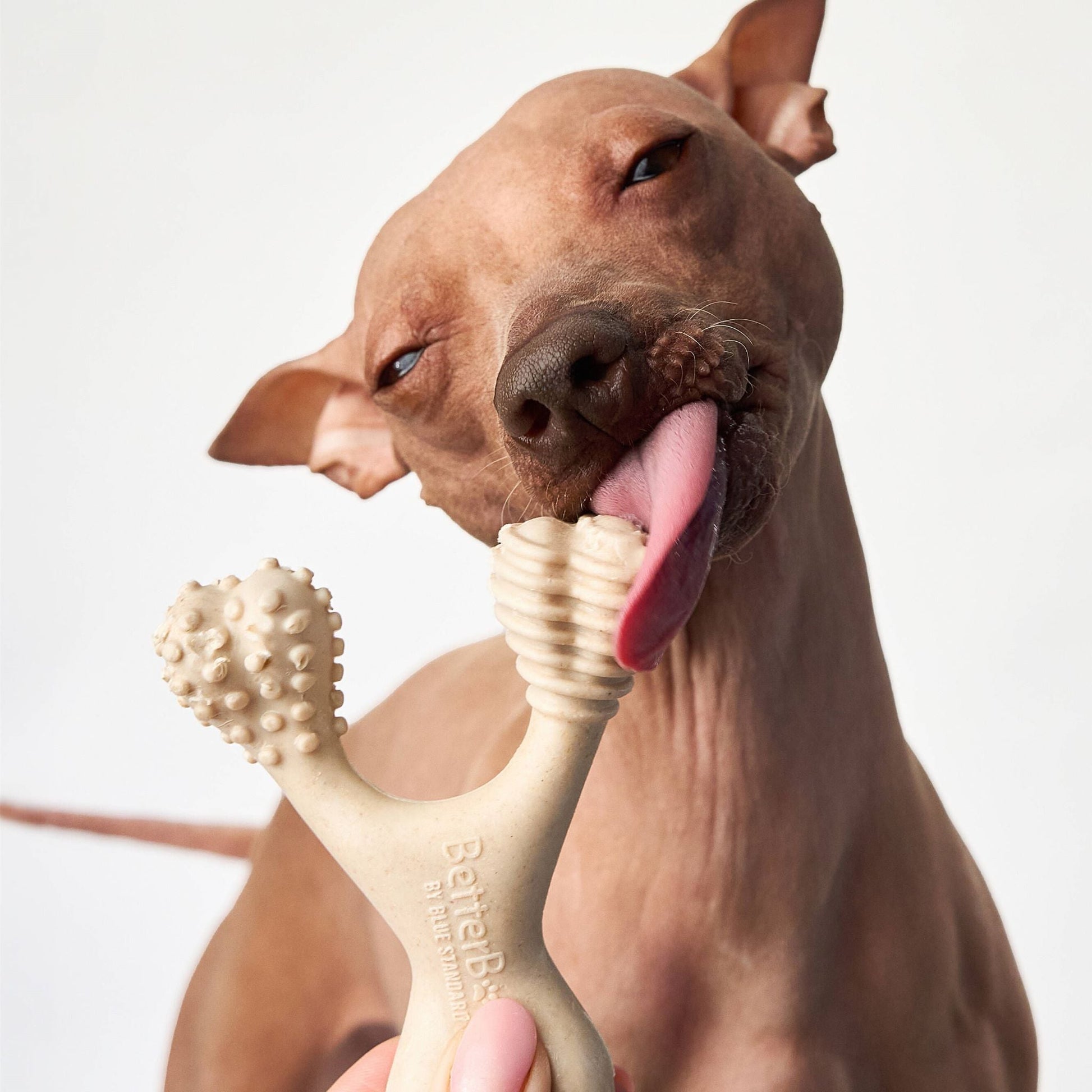 BetterBone LIGHT chew toy for dogs, eco-friendly and natural dog toy designed for chewing and play.