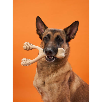 BetterBone HARD dog chew toy made from natural eco-friendly materials, designed for durable canine play and teeth cleaning.