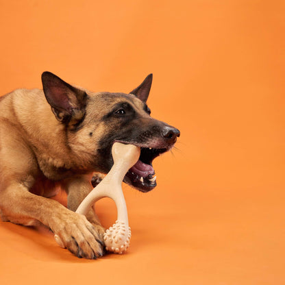 BetterBone HARD dog chew toy made of natural eco-friendly materials, designed for durable canine play and teeth cleaning.