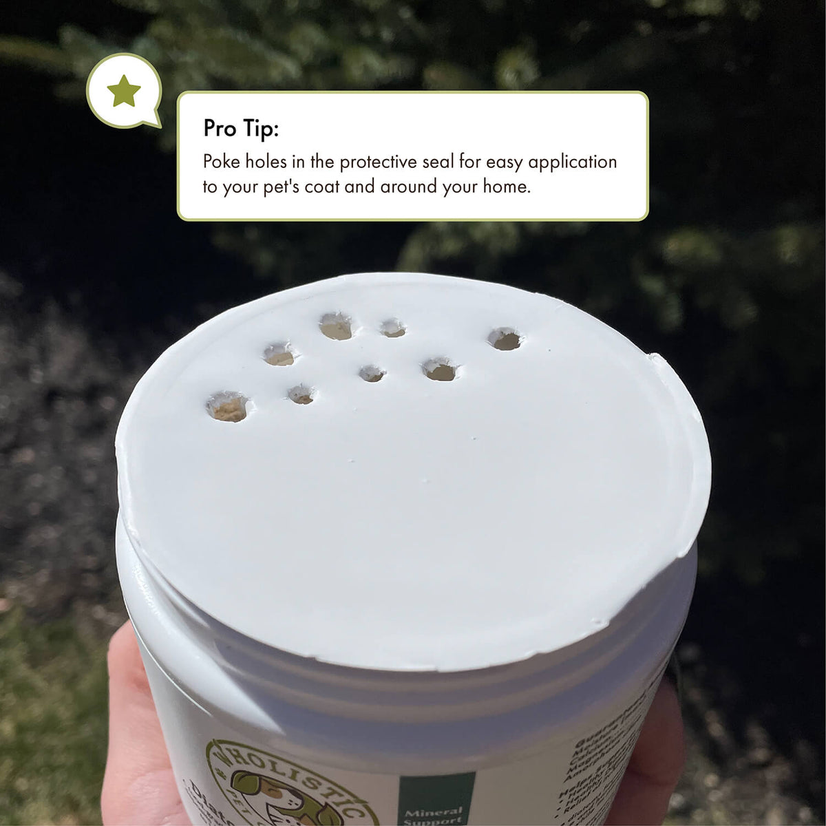 Diatomaceous Earth
