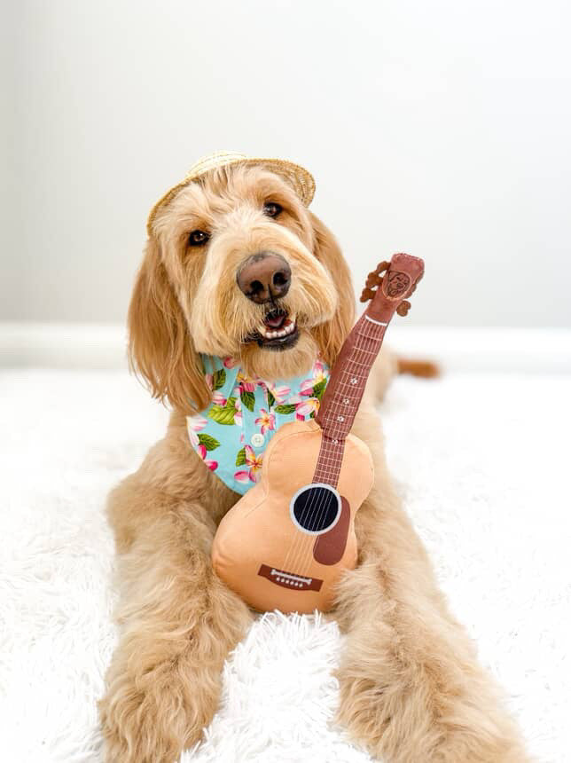 Guitar Squeaky Dog Toy – Plush Crinkle Dog Toy for Medium & Large Dogs, Durable Musical Dog Toy for Tug, Fetch & Birthday Gifts