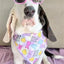 Easter Peeps, Bunny, Marshmallow Dog Bandana Hunter K9