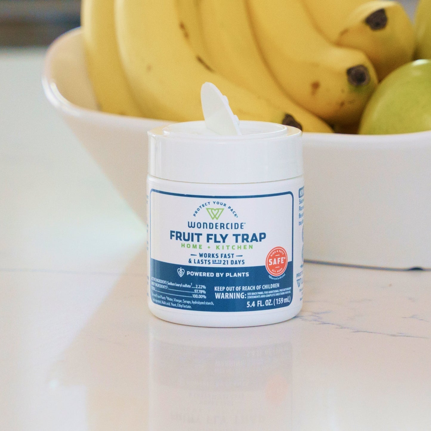 (2 Pack) Fruit Fly Trap for Home + Kitchen