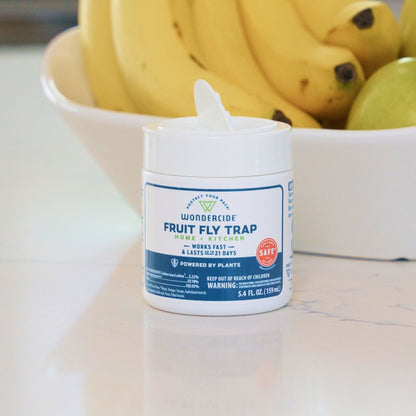 (2 Pack) Fruit Fly Trap for Home + Kitchen