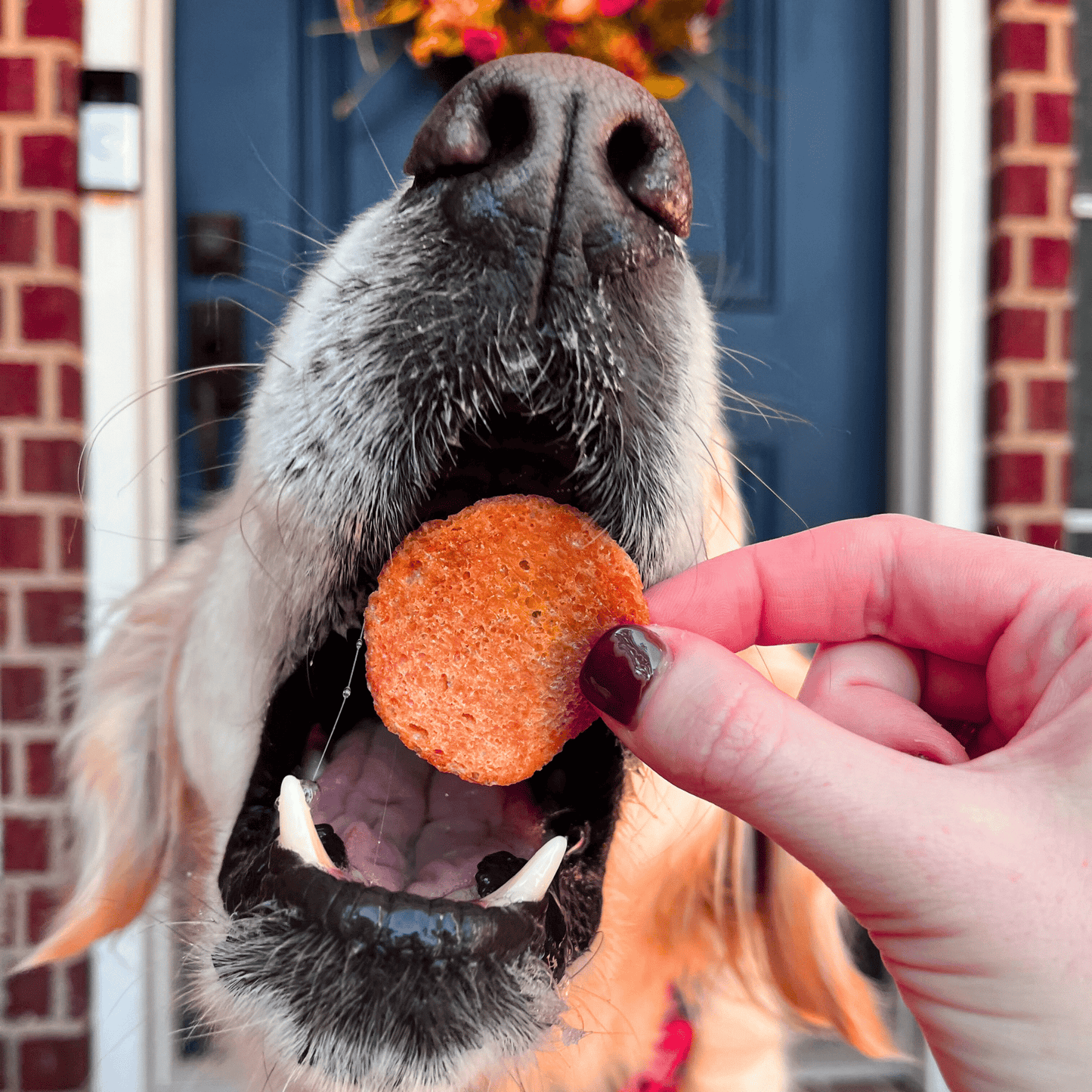 Turkey Feast Chips