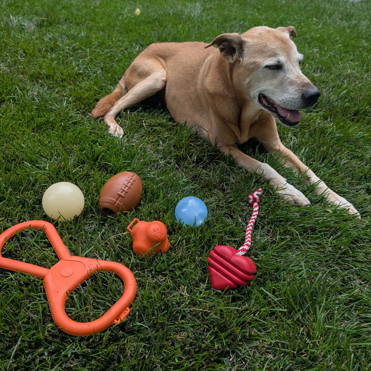 Tug Toys for Dogs