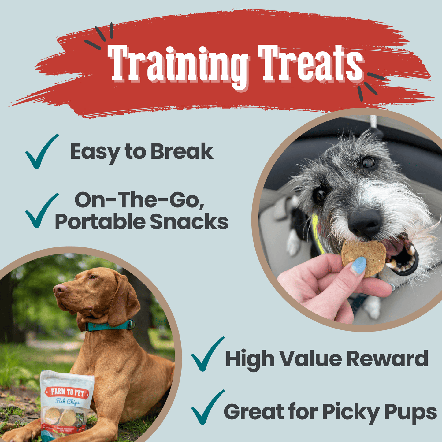 Fish Chips for Dogs | Wild-Caught Fish Dog Treats