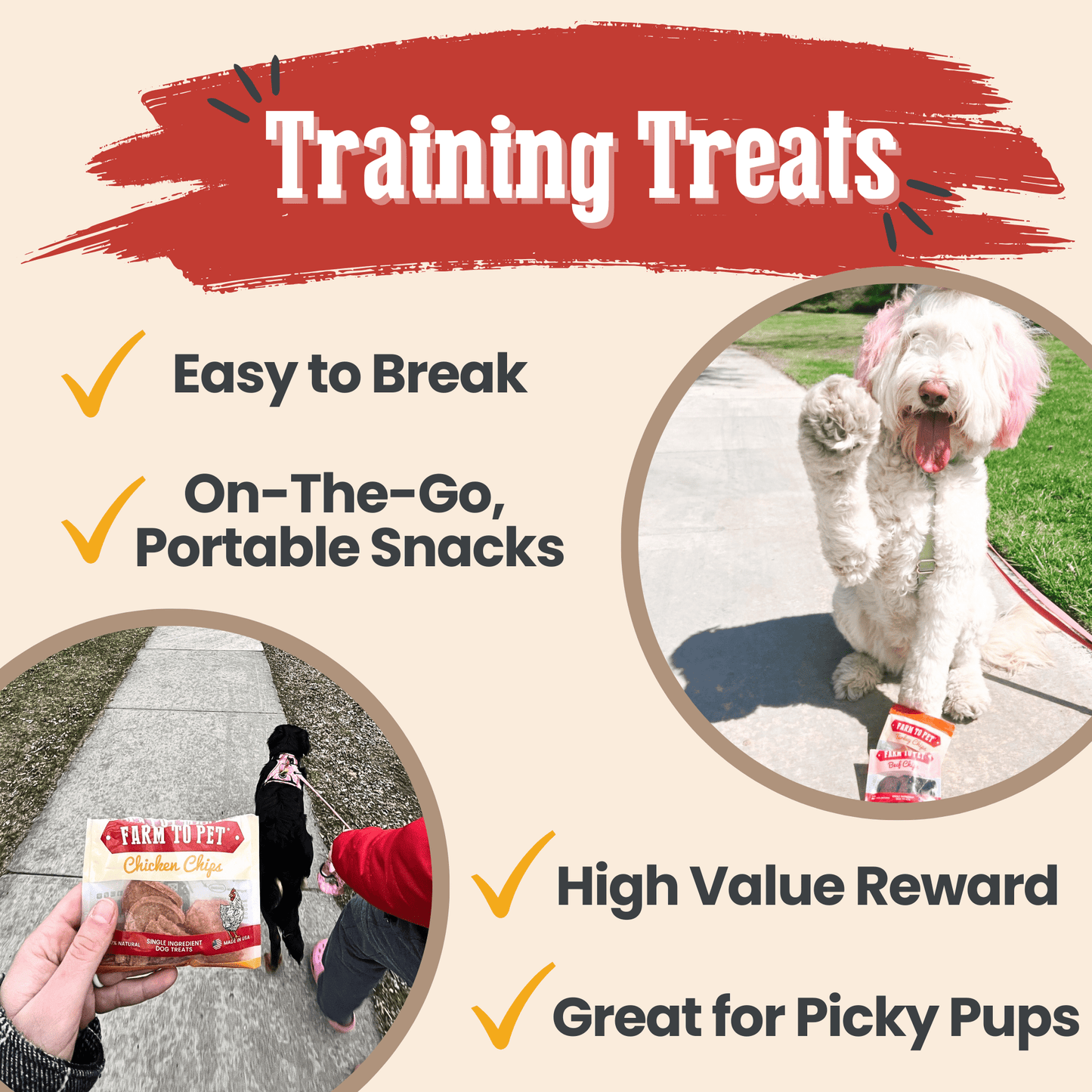Snack Pack Dog Treat Sampler