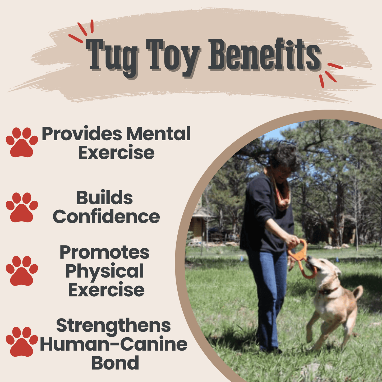 Tug Toys for Dogs