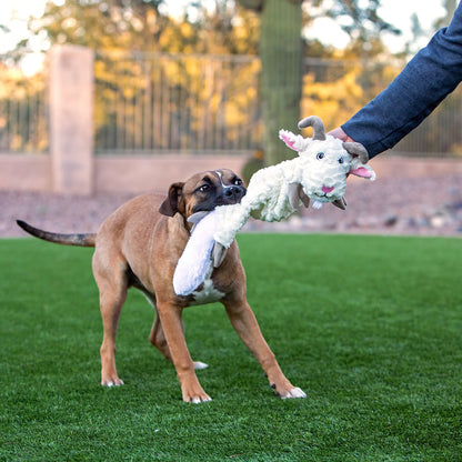 Fat Tail Dog Toys