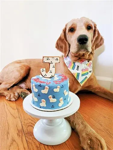 First Birthday Dog Bandana.