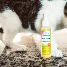 Flea & Tick Spray Scent Sampler