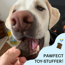 Fish & Cricket Best Seller Bundle