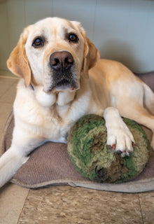 HuggleCause™, Warrior Canine Connection, Camouflage HuggleFleece® Plush Ball Dog Toy
