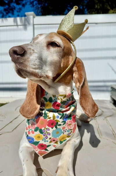 Peony Floral Dog Bandana
