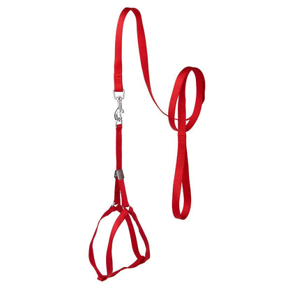 Step-In Nylon Dog Harness + Optional Flower Dog Leash