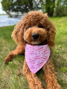 "Barkday on Pink" Dog Bandana