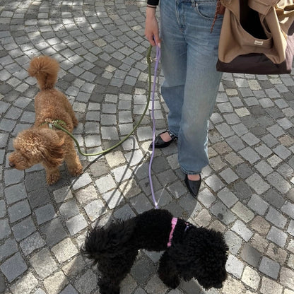 'Moss Green' - Braided Rope Leash