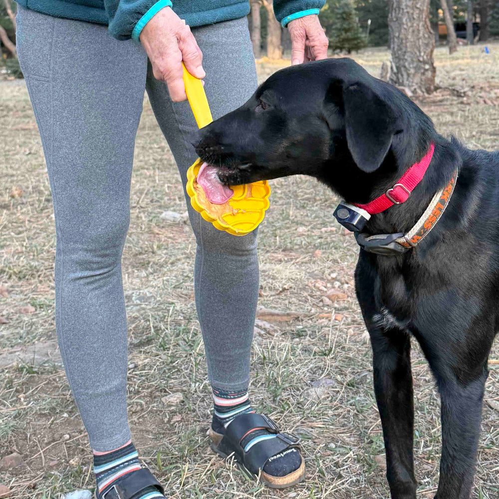 Lick Stick Hand-Held Dog Enrichment Toy - Interactive Lick Stick | USA Made
