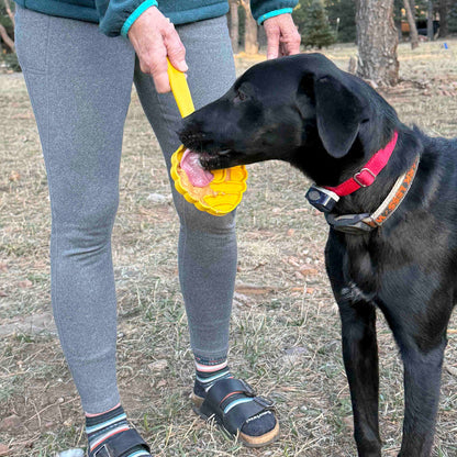 Lick Stick Hand-Held Dog Enrichment Toy - Interactive Lick Stick | USA Made
