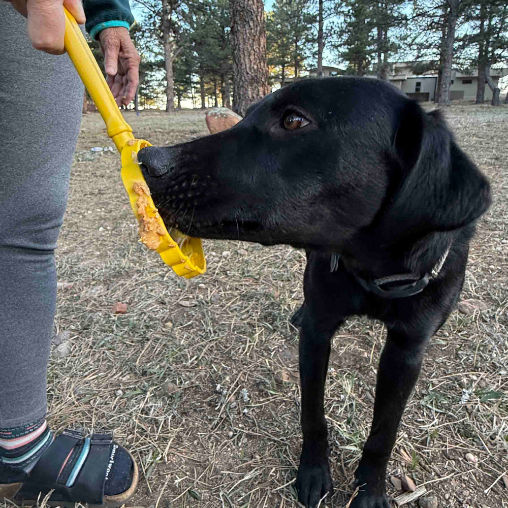 Lick Stick Hand-Held Dog Enrichment Toy - Interactive Lick Stick | USA Made