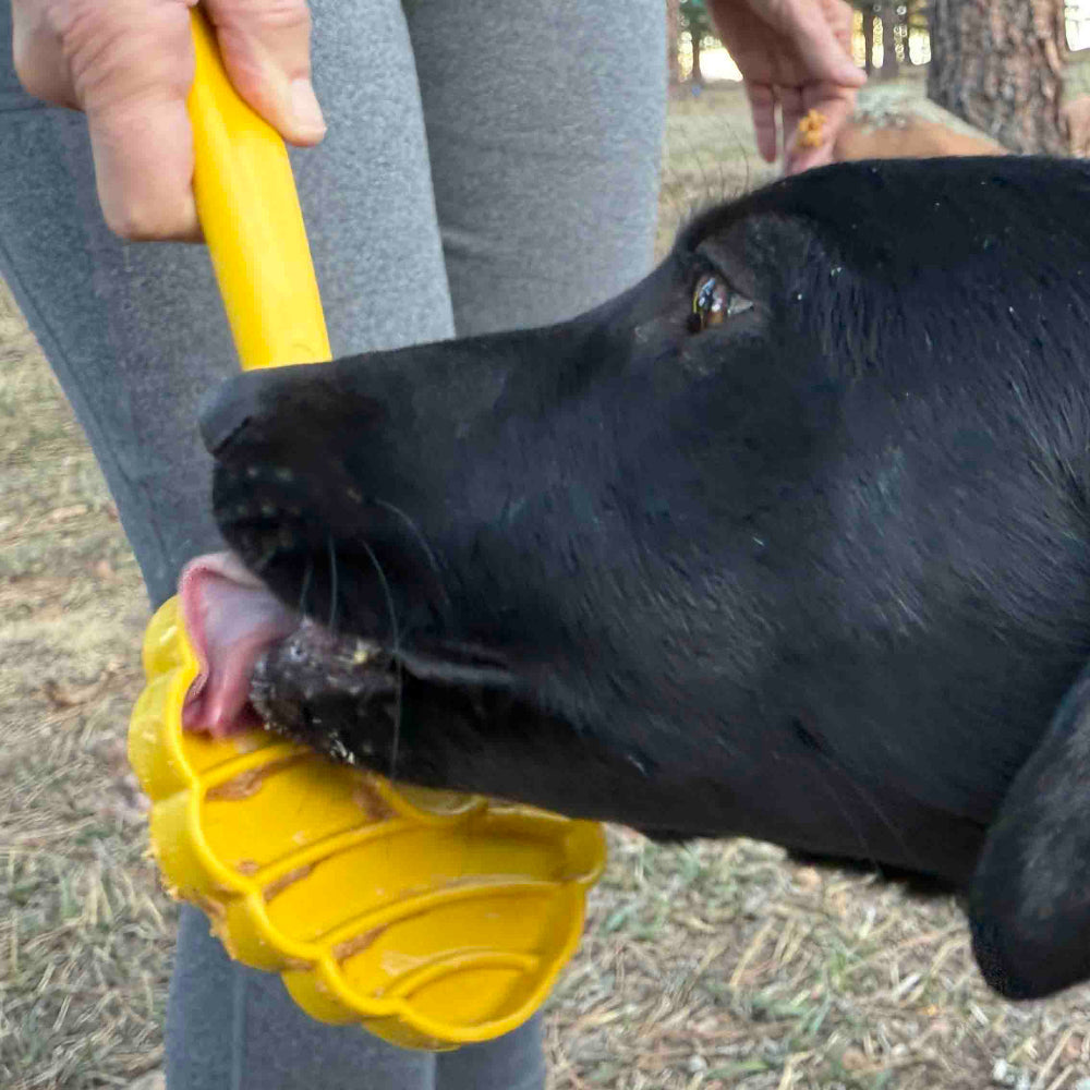 Lick Stick Hand-Held Dog Enrichment Toy - Interactive Lick Stick | USA Made