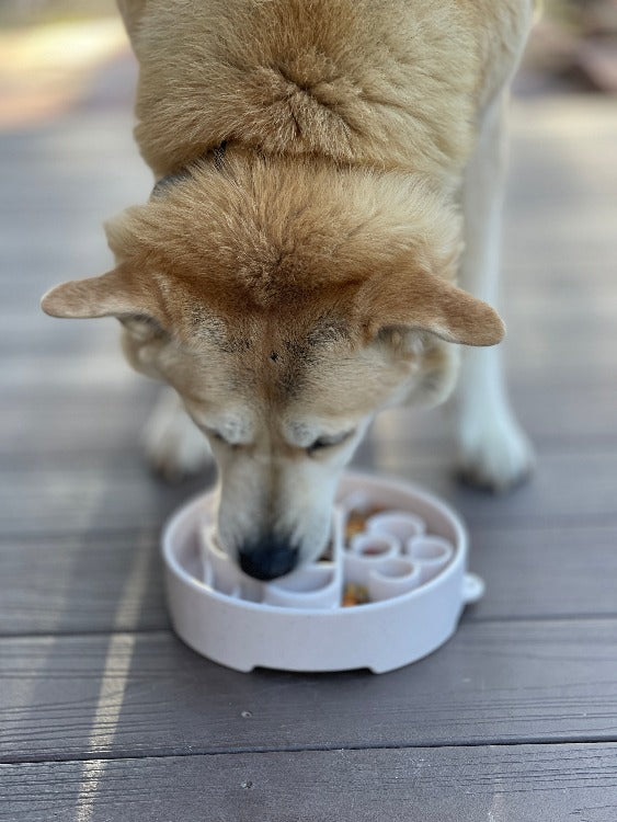 SodaPup Java eBowl deep slow feeder dog bowl for enrichment, made in the USA, with textured surface and durable design.
