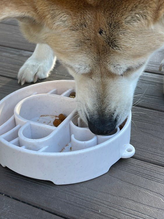 SodaPup Java eBowl deep slow feeder dog bowl for enrichment, made in the USA, with a textured surface for interactive feeding.