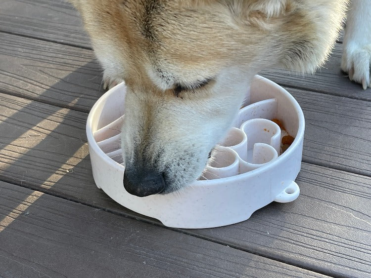 SodaPup Java eBowl deep slow feeder dog bowl for enrichment, made in the USA, featuring a textured surface and durable design